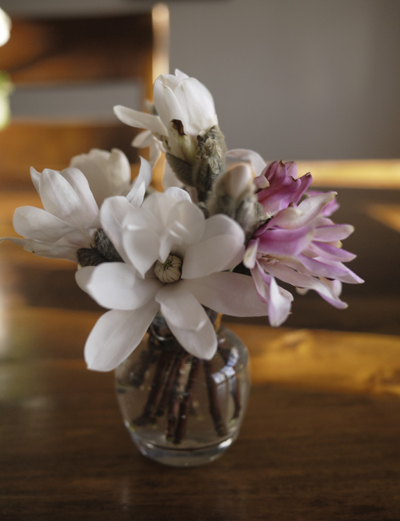 magnolia in vase 720