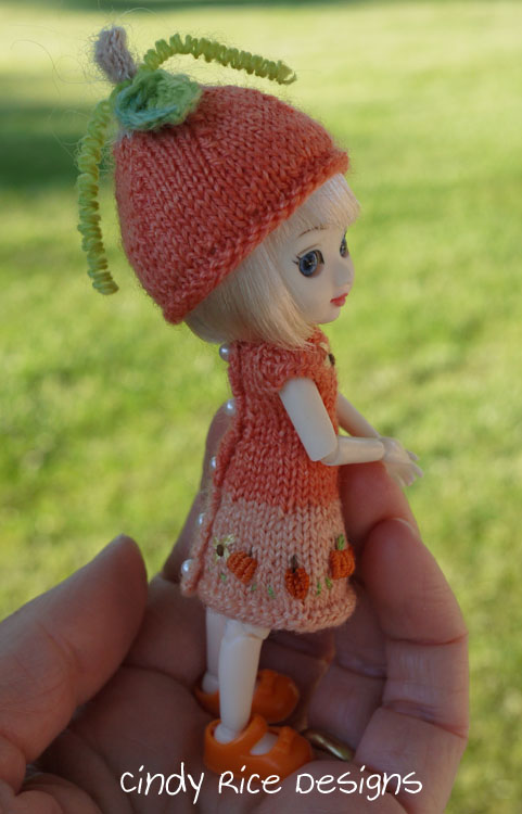 mini pumpkin patch 007