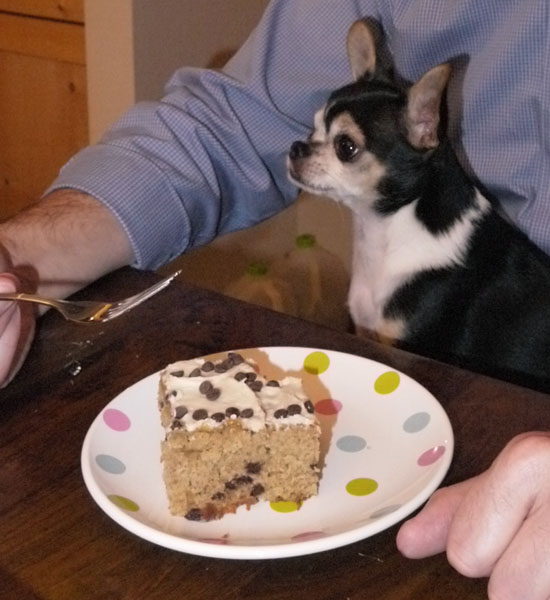 chocolate chip birthday cake 869