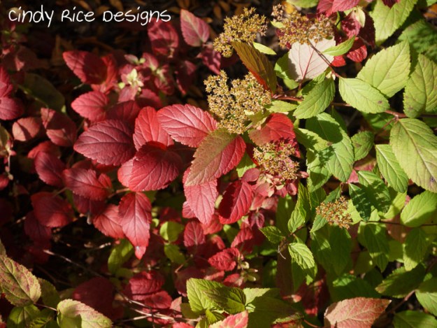 fall mid oct. 2015 911