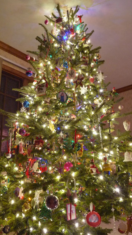 2015 tree 822