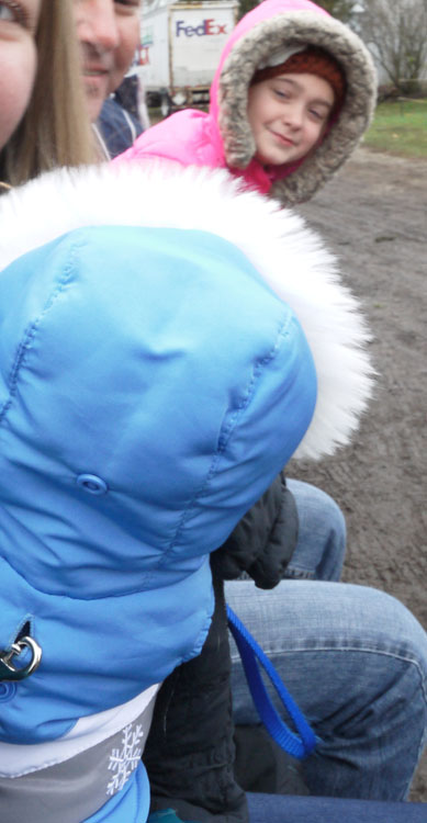 christmas tree farm 656