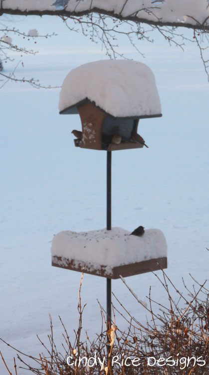 mid november cold 576