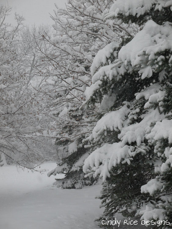 mid november snow 502