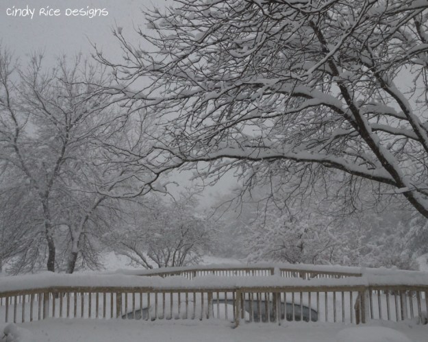 mid november snow 508