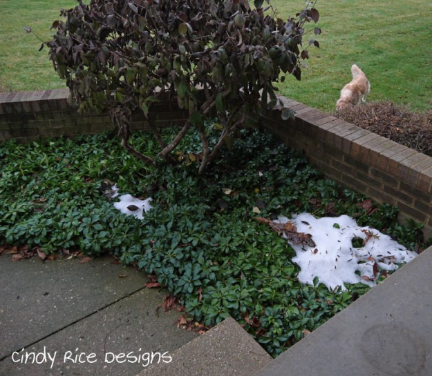 thanksgiving day 2015 593