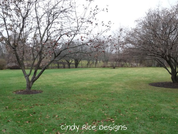 thanksgiving day 2015 603