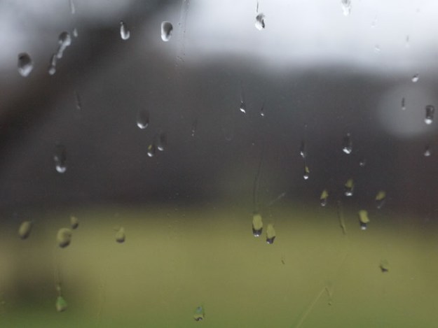 mid december spring 259