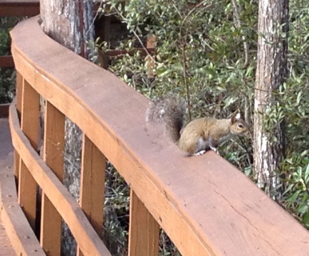 january florida 2293