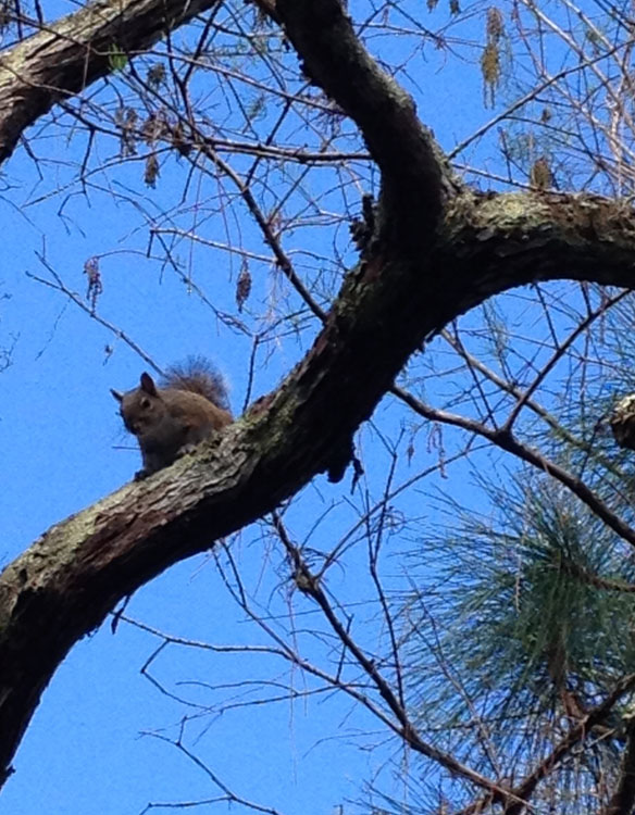 january florida 2298