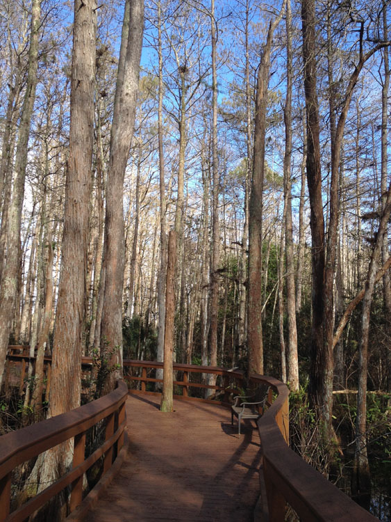 january florida 2302