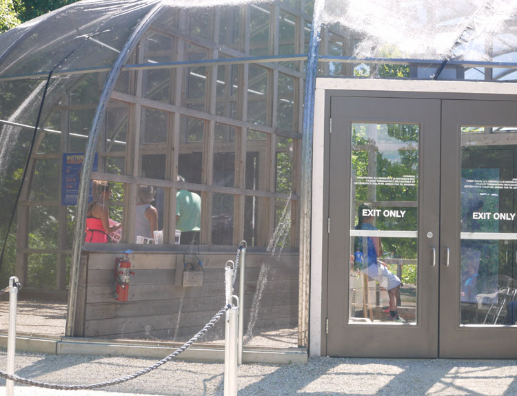 blooms butterflies 857