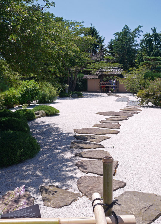 japanese garden 061