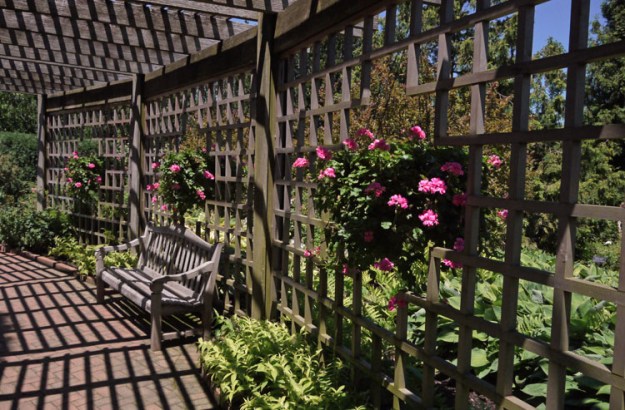 rose garden trellis 940