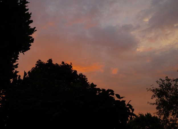 august sunrise 027