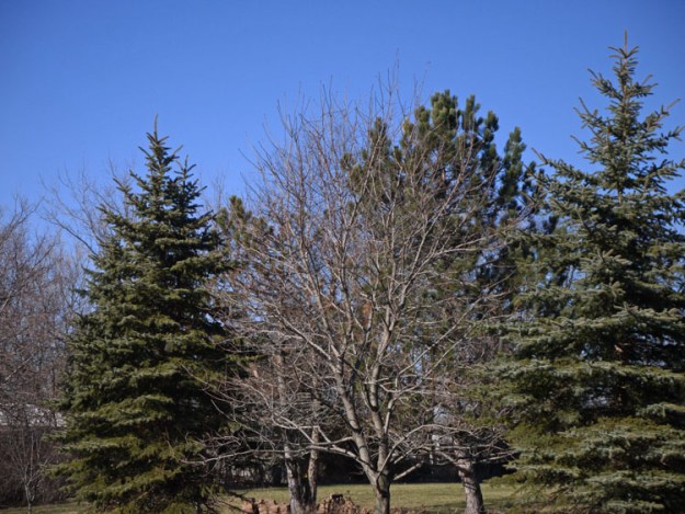 january-winter-sun-044