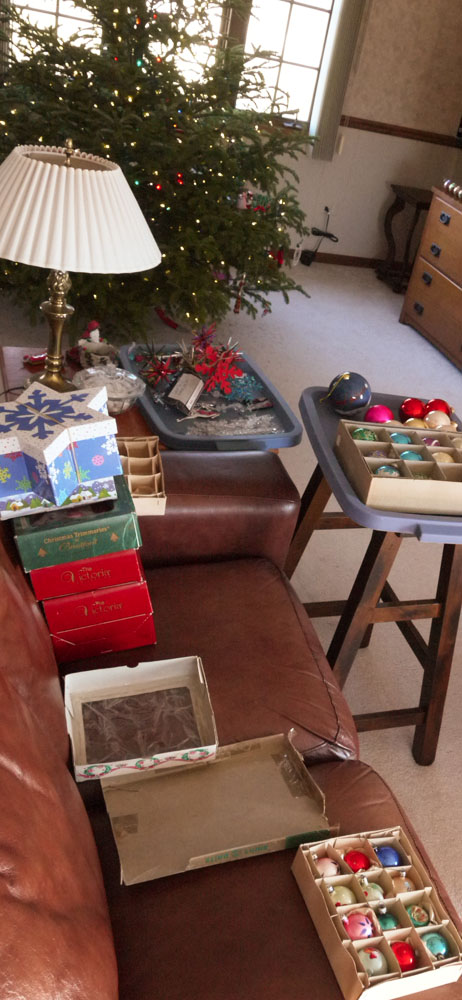 taking-down-the-tree-866