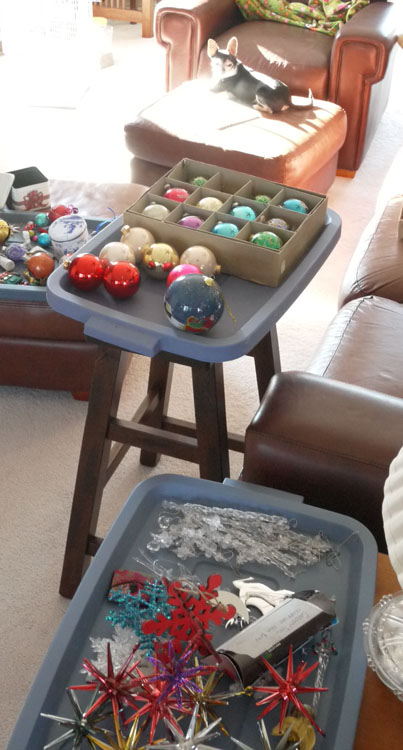 taking-down-the-tree-871