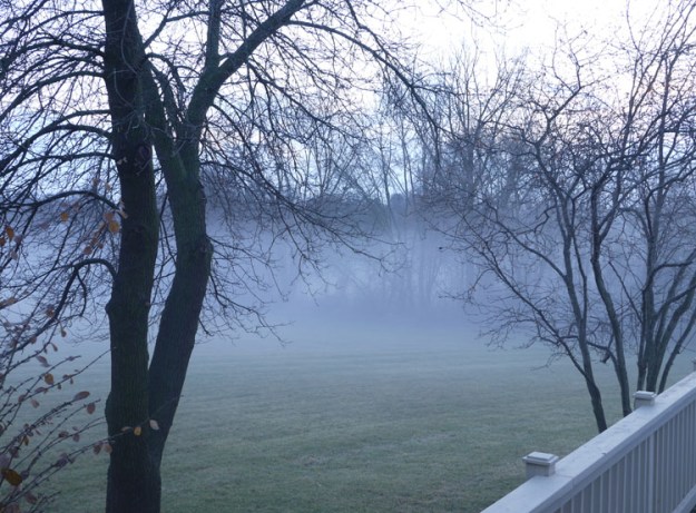 fog january 2018 520