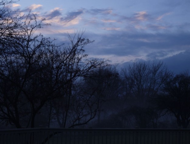 fog january 2018 521