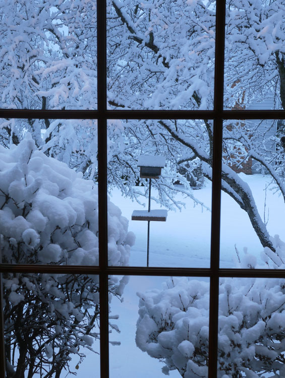 snow bird feeder 545