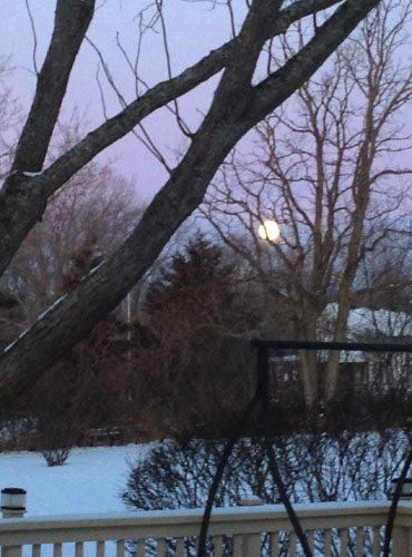 winter full moon morning 3738