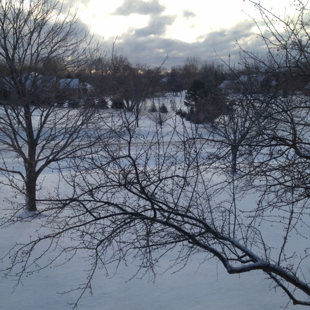 april snow 2018 4008