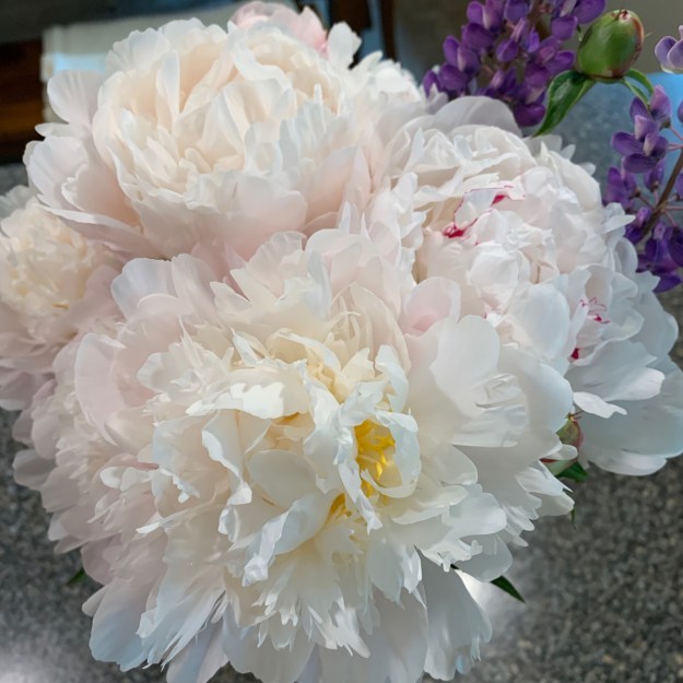 peony bouquet 4326