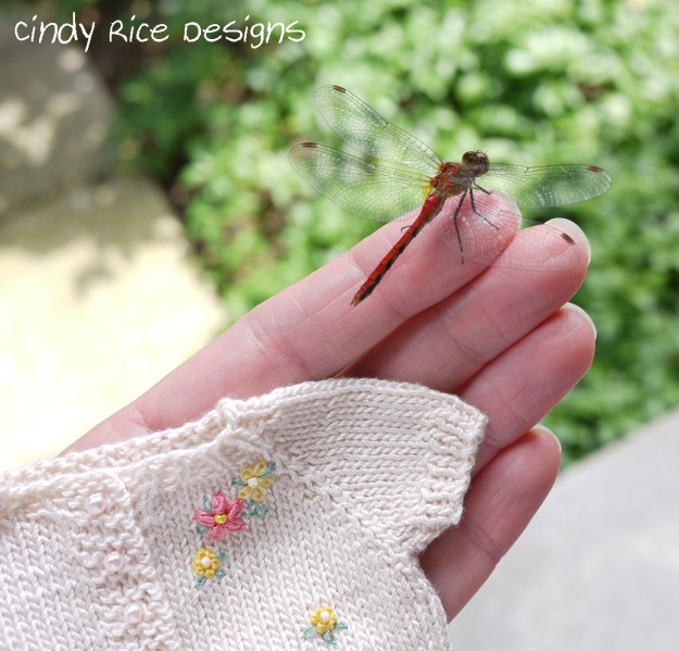 friendly dragonfly 648