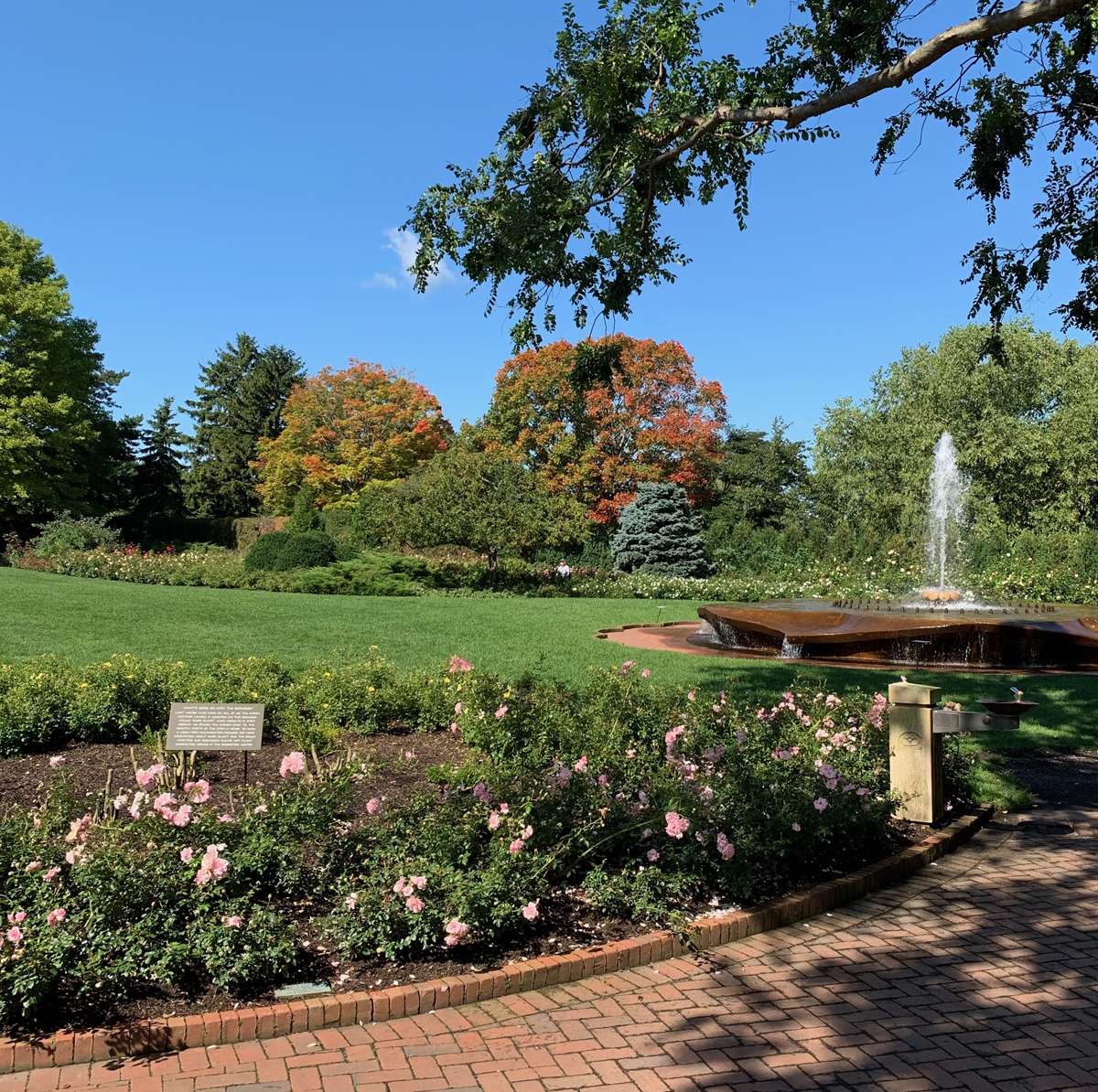 2019 1st day fall 4584