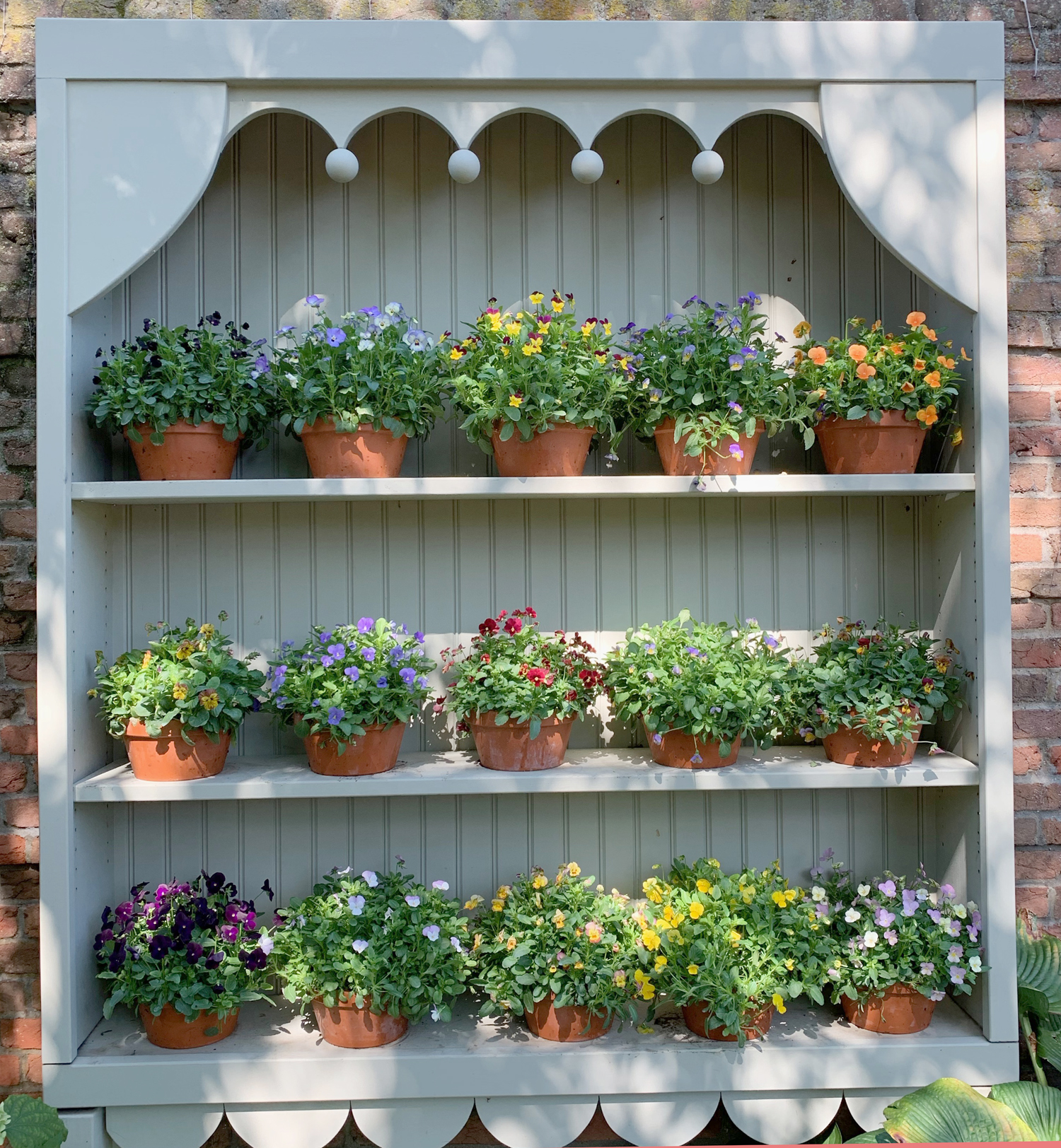 2019 1st day fall 4591