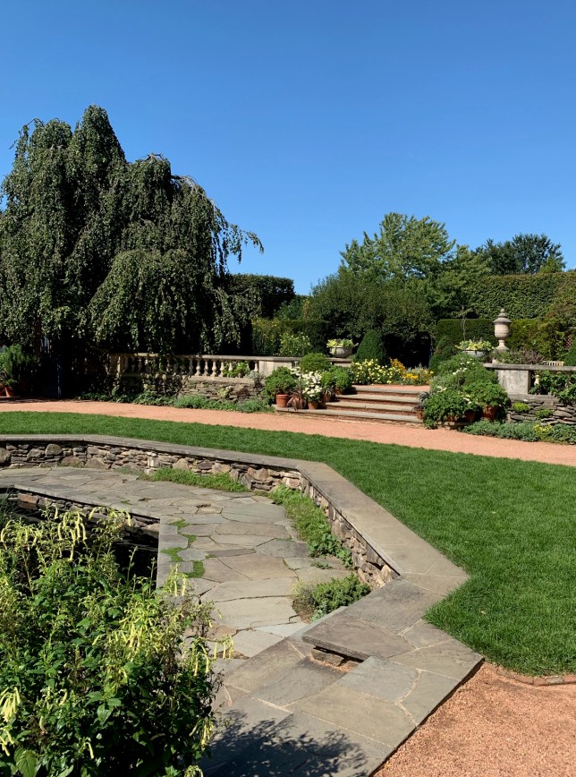 2019 1st day fall 4593