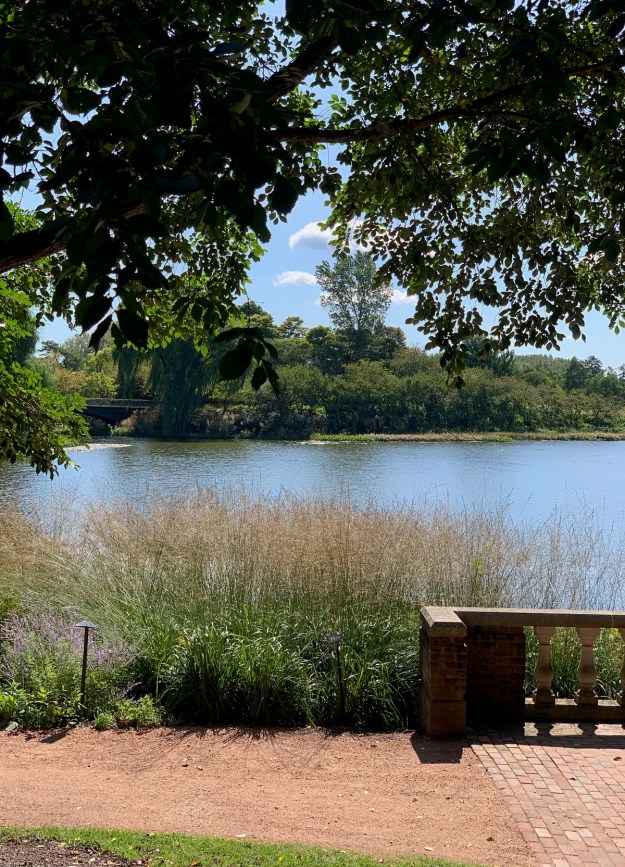 2019 1st day fall 4595