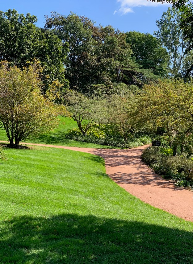 2019 1st day fall 4596