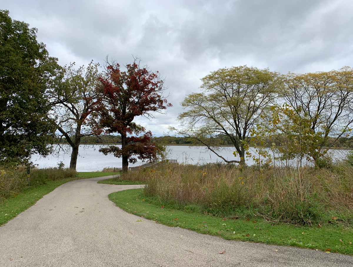 2019 fall hastings forest preserve 4655