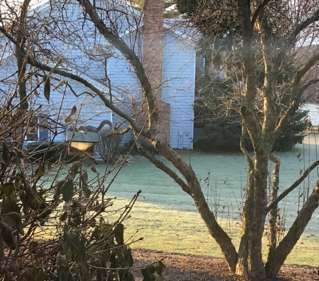 2019 fall squirrel feeder 0902