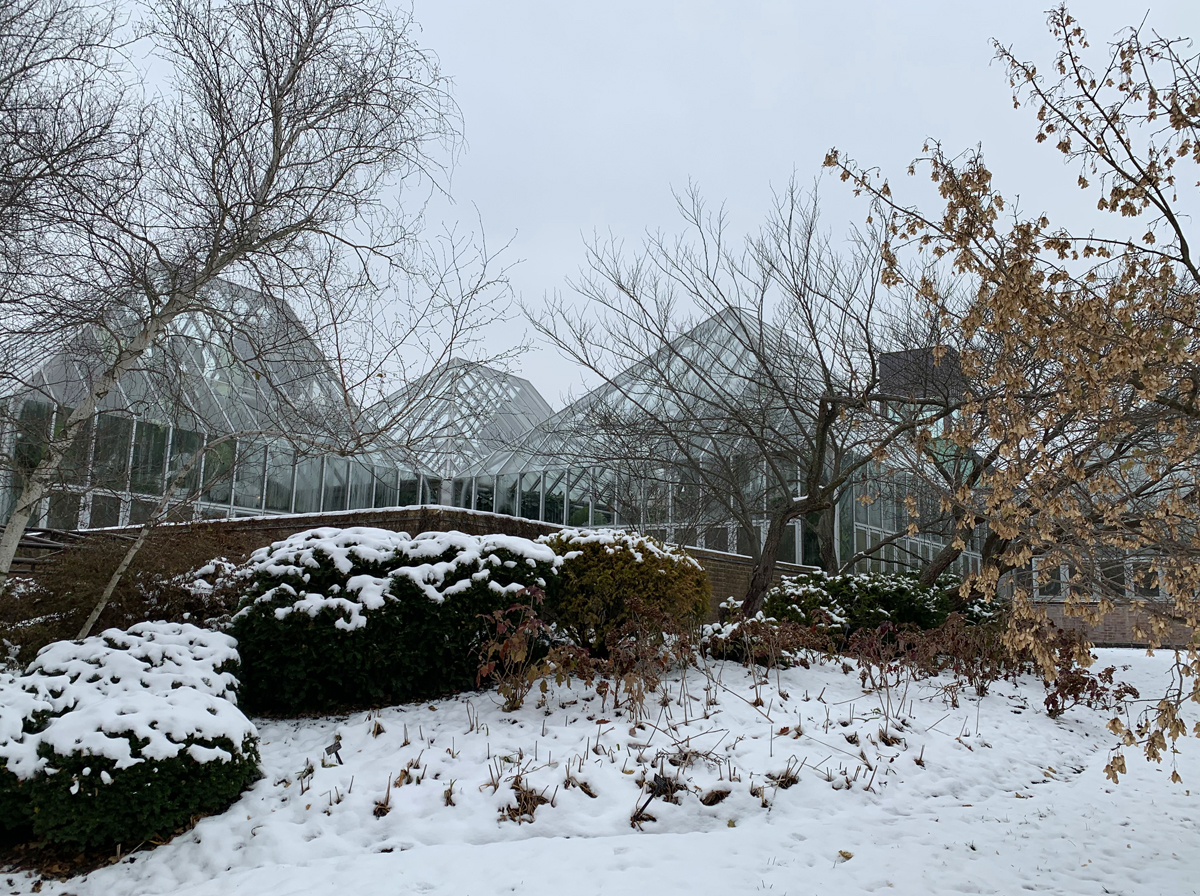 greenhouses snow 4783