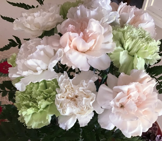 2019 carnations 0929