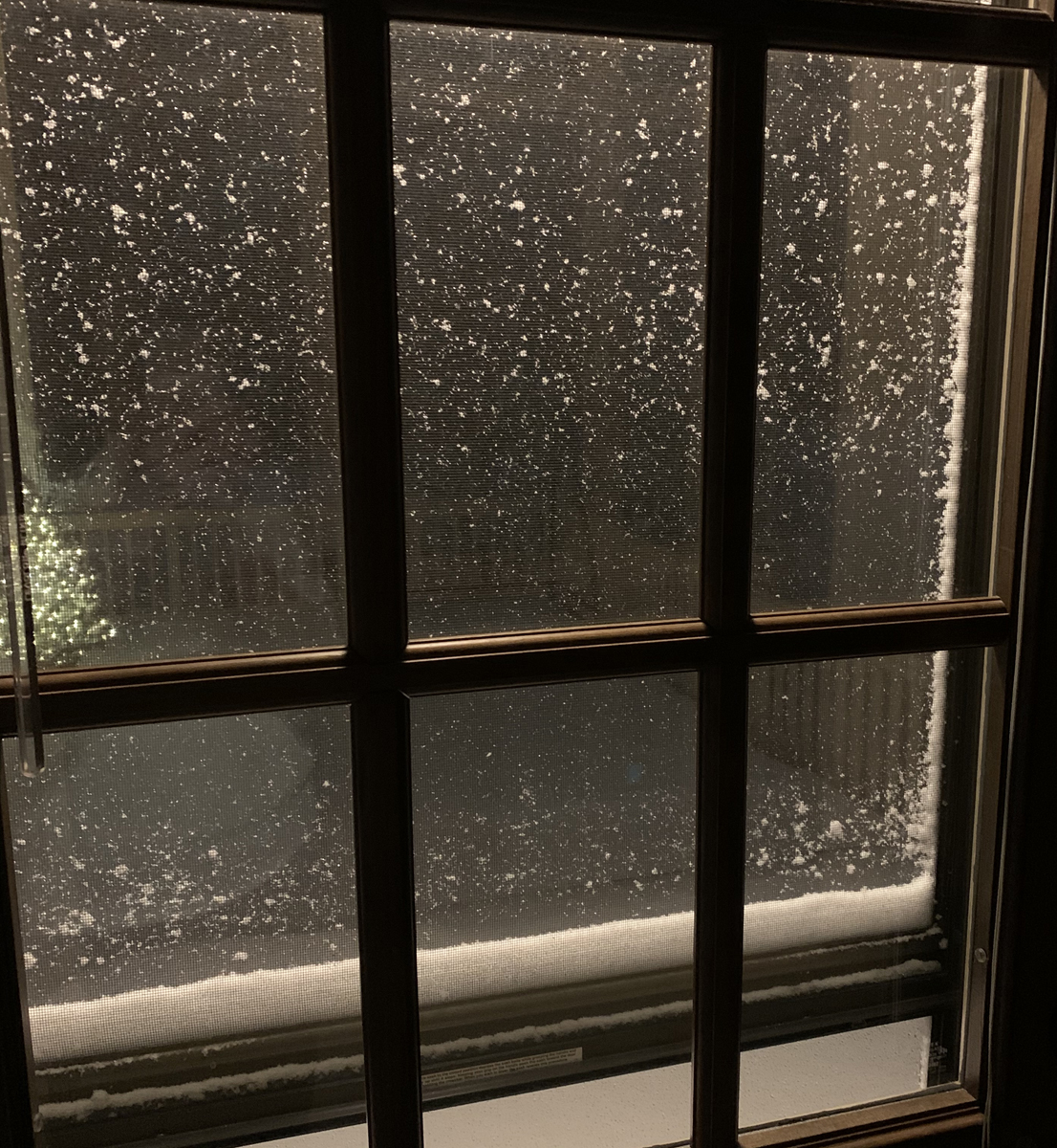 2020 snowstorm night5130