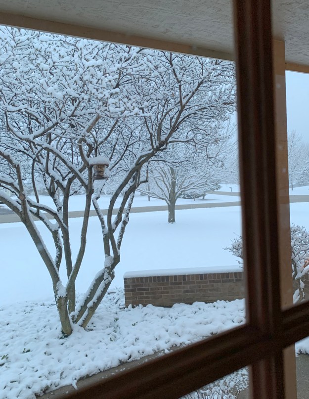 2020 march snow 5414