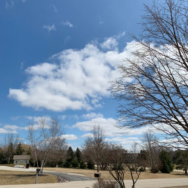 2020 neighborhood late winter 5350