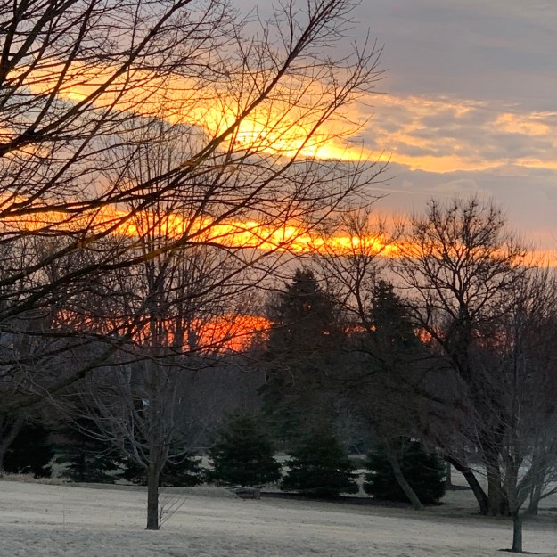 2020 sunrise late winter 5364