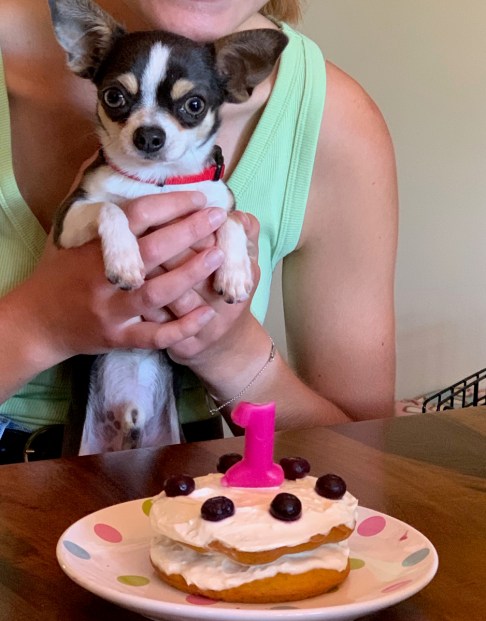 pebs birthday one 5943